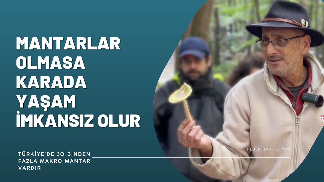 MANTARLAR OLMASA KARADA YAŞAM İMKANSIZ OLUR (Jilber Barutçiyan)