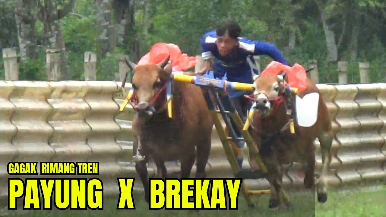 PAYUNG X BREKAY  APA JADI NYA  ‼️🔥🔥🔥🔥