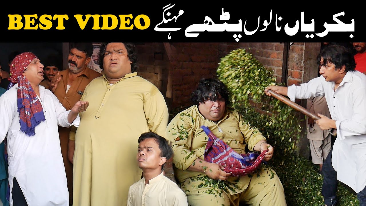 Bakreyan Naloo Pathy Mehngy || Best Comedy