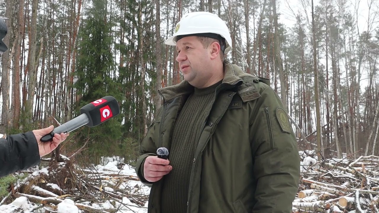 В Жлобинском районе чествовали лесоводов