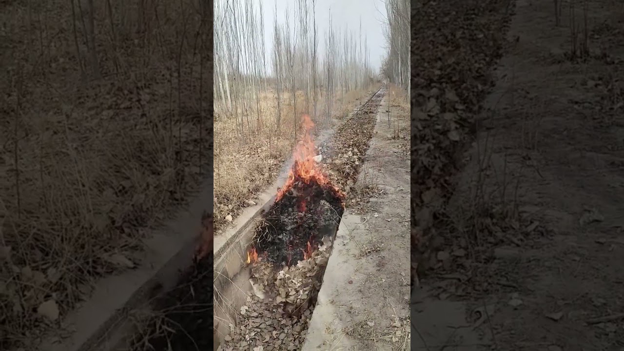 Farmland irrigation canal debris removal process