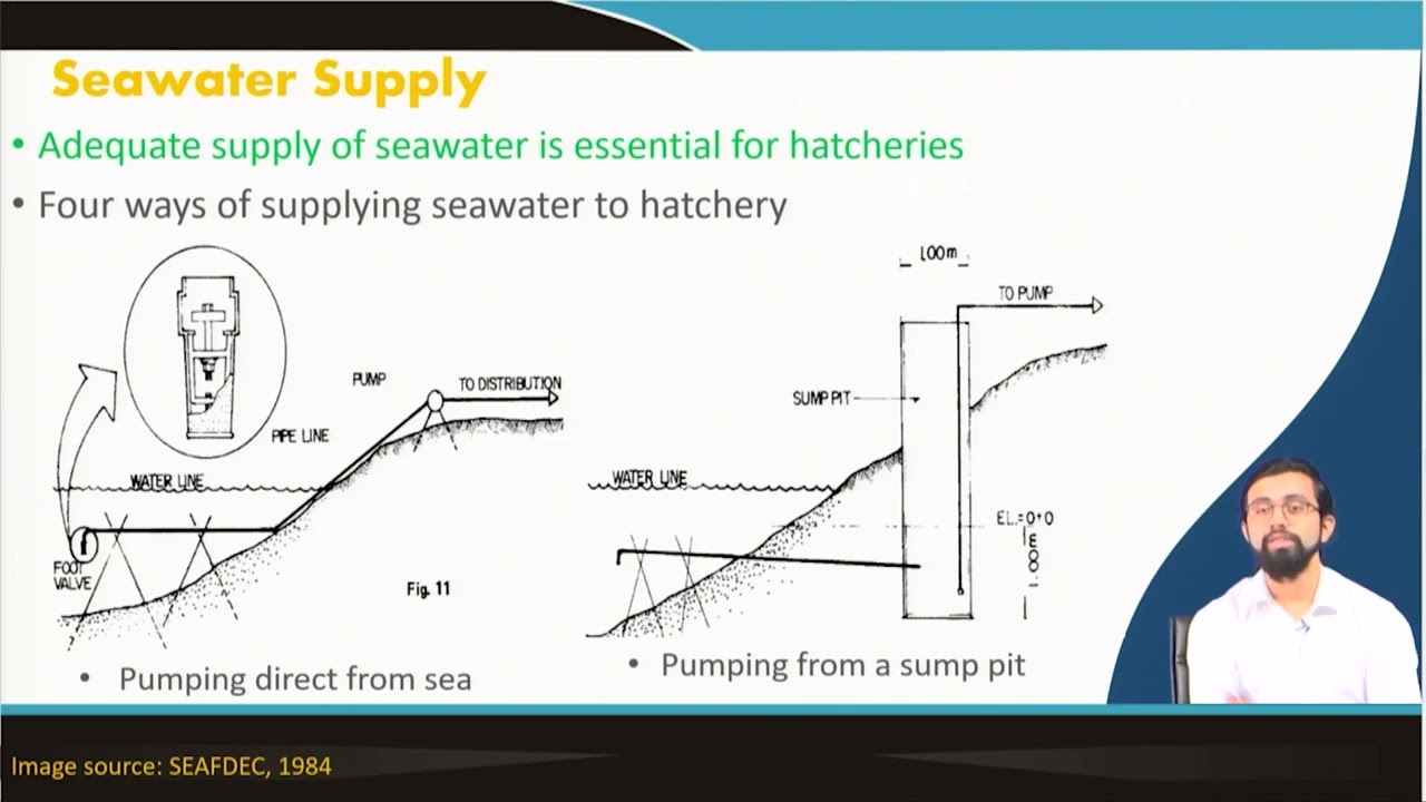 Design of prawn hatchery