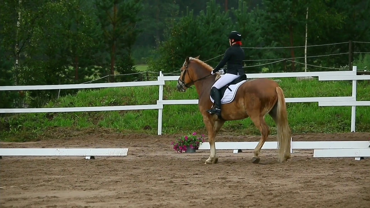 Helppo C:1 2000 Assun Helmeri 19.8.2017