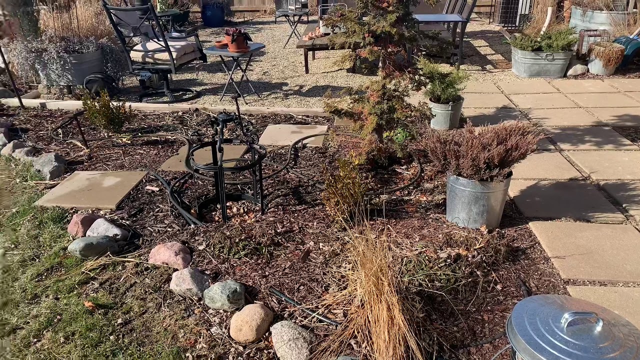 Backyard Garden Tour before Spring cleanup.