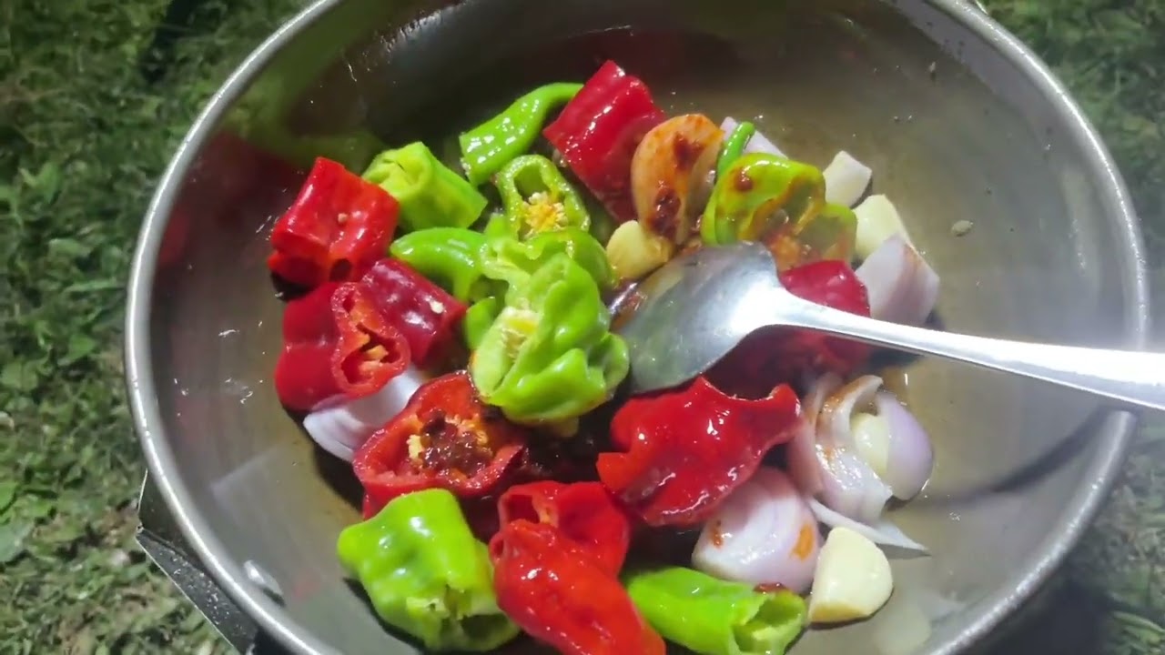 骑行到昭苏县，露营草地吃羊肉，喝羊汤太美味了 #户外野炊 #户外美食 #野外露营 #穷游中国