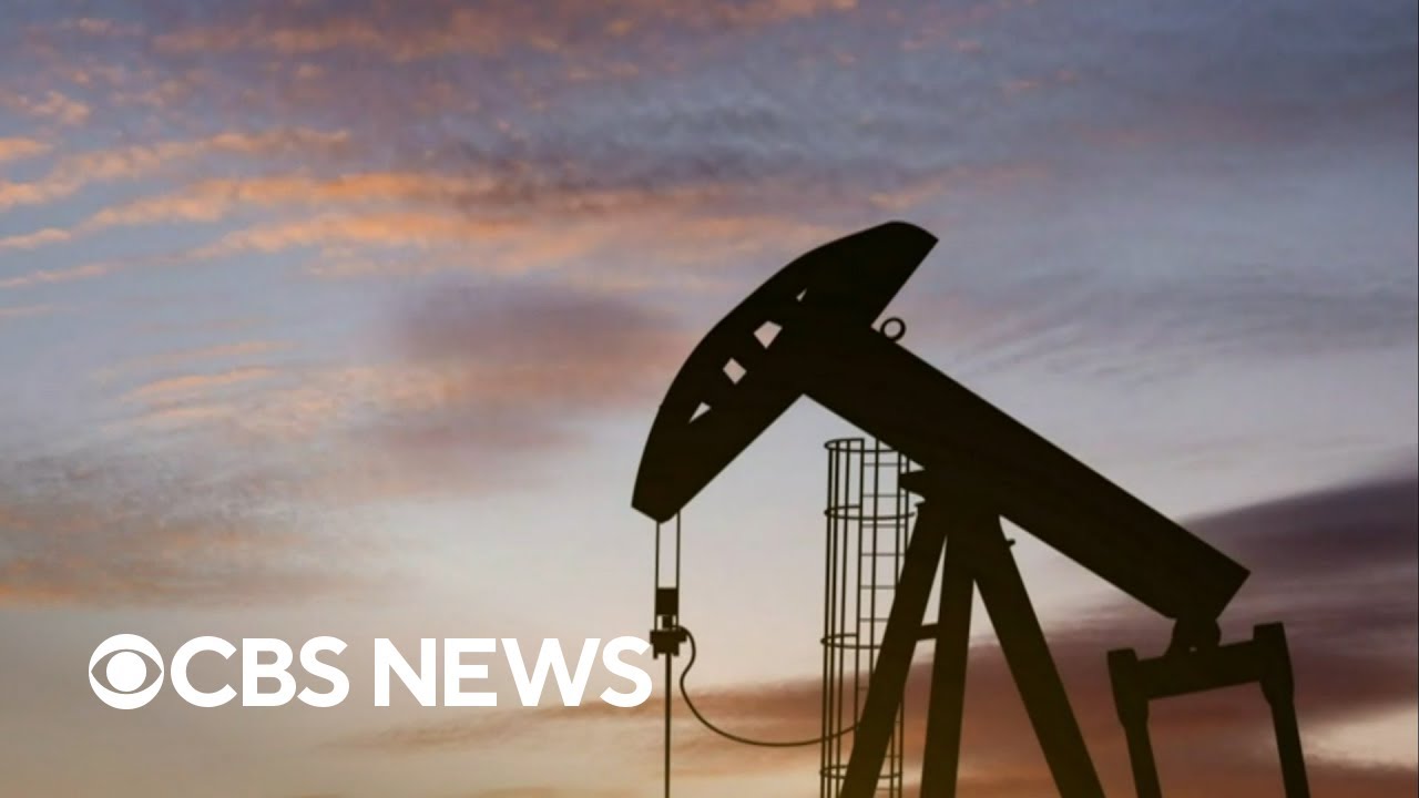 Treasury Secretary Janet Yellen criticizes OPEC+ oil cuts