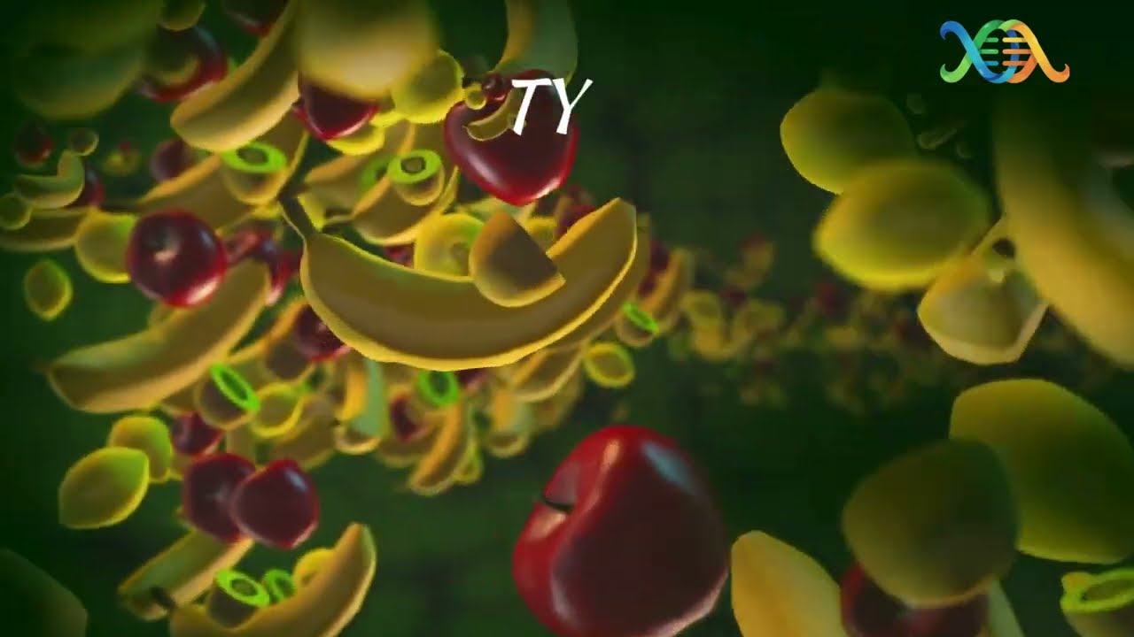 TYT VİTAMİN VE HORMONLAR