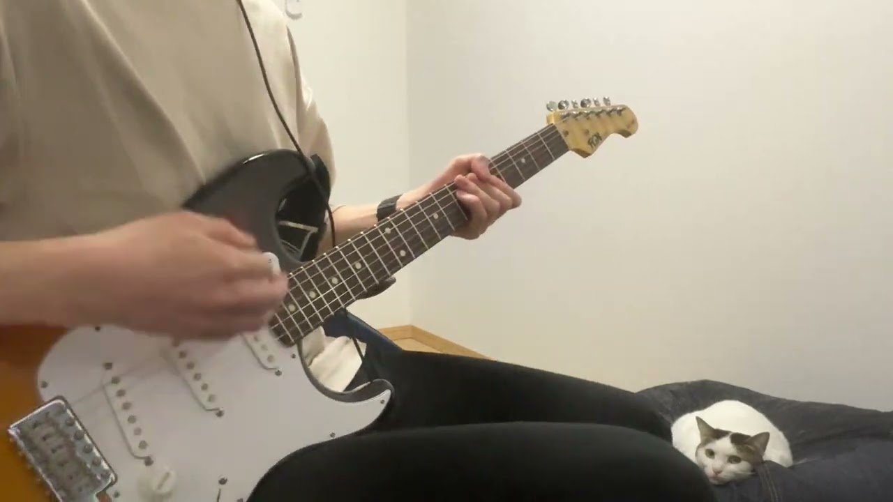 Red Hot Chili Peppers / Give It Away (guitar)