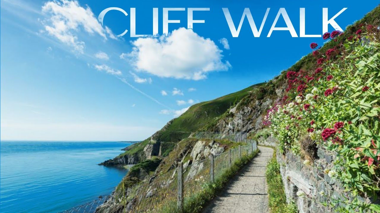 Cliff walk views | Bray to Greystone #ireland