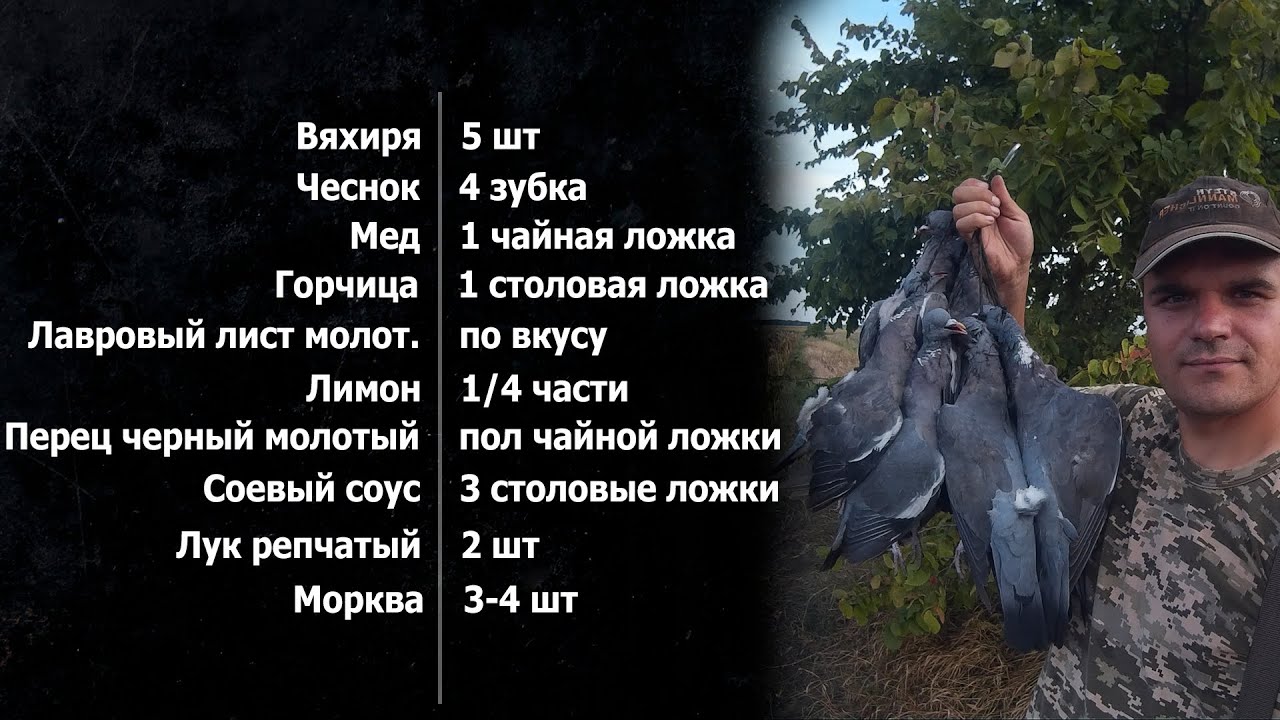 Готовим голубья/вяхиря в духовке запеченный в рукаве