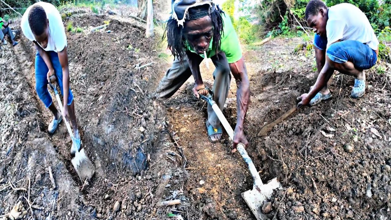 DIGGING OUT The FOUNDATION! 