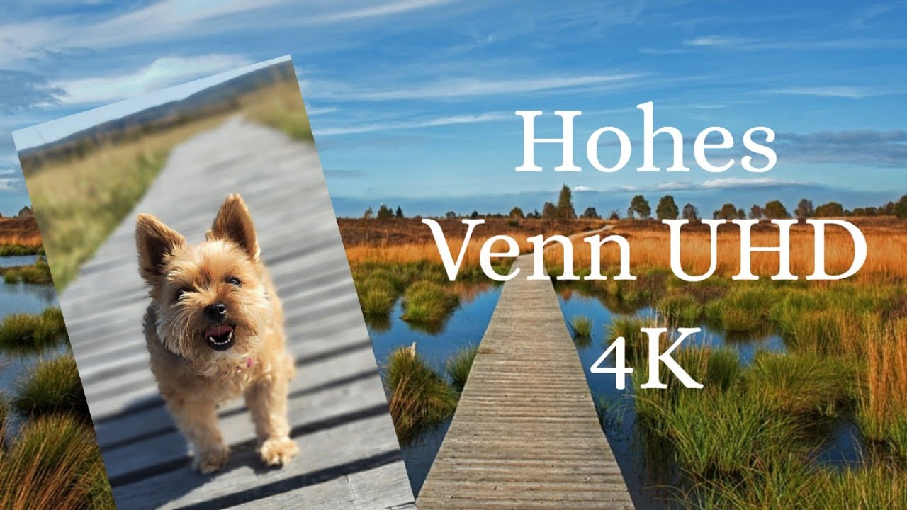 Hohes Venn 🇹🇩Die Traumwanderung 🌞4K
