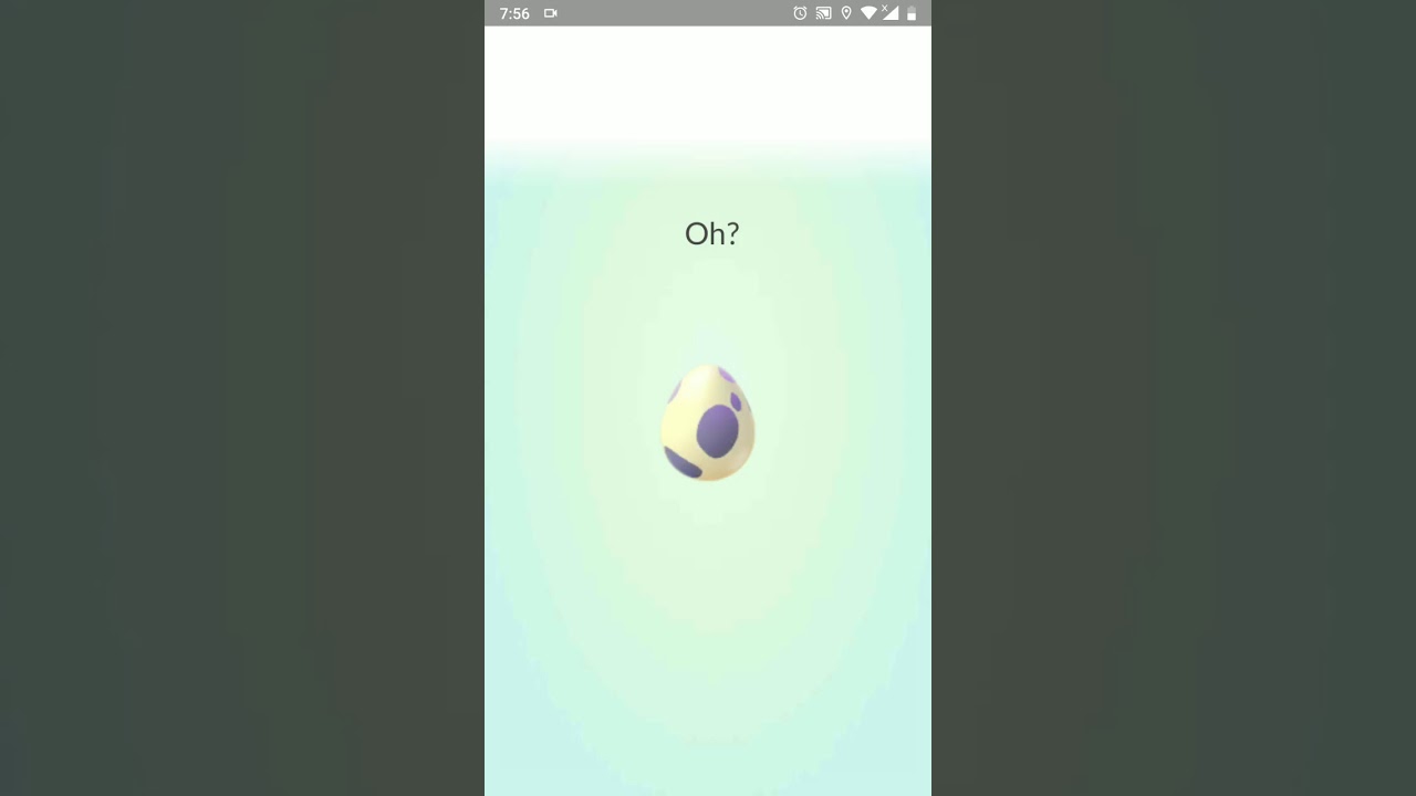 Pokemon go hatch 9 10 KM egg
