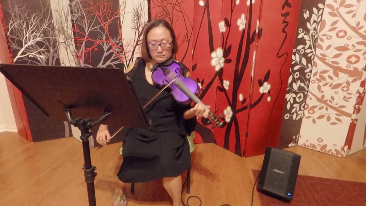 Sunn Raha Hai Na Tu (Bollywood) - Violin & Piano Track by Serenata Strings DFW