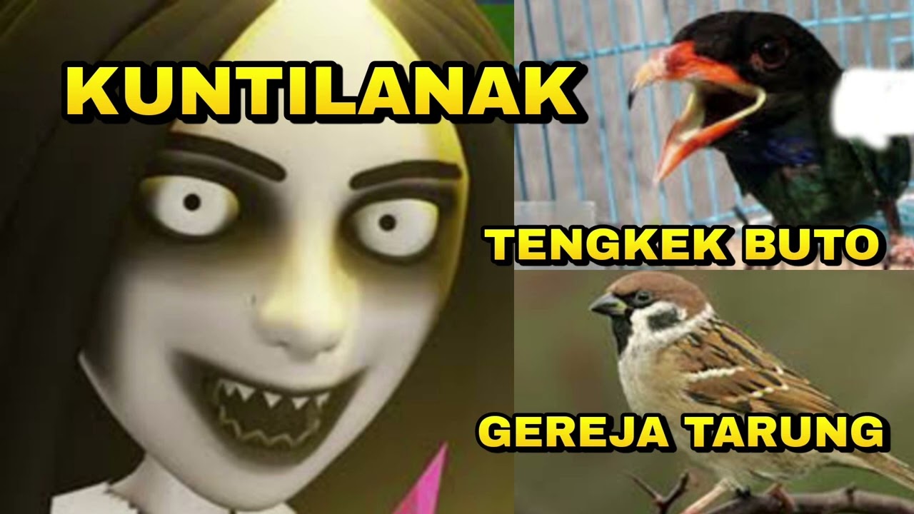 Masteran Cendet Isian Greja, Tengkek Buto, Kuntilanak - Cukup 1jam jamin niru_ @sultanakbar