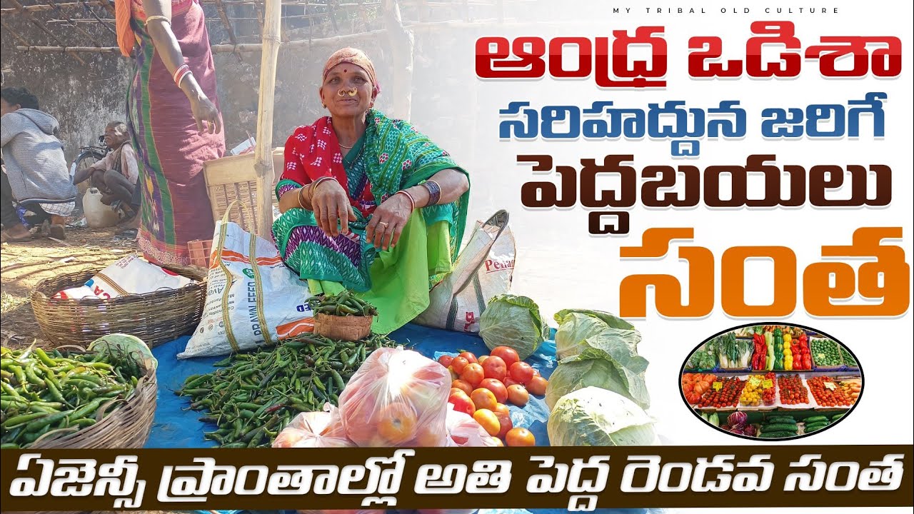 ఆంధ్ర ఒడిస్సా సరిహద్దున జరిగే పెద్దబయలు సంత|Andhra tribal market|Odisha
