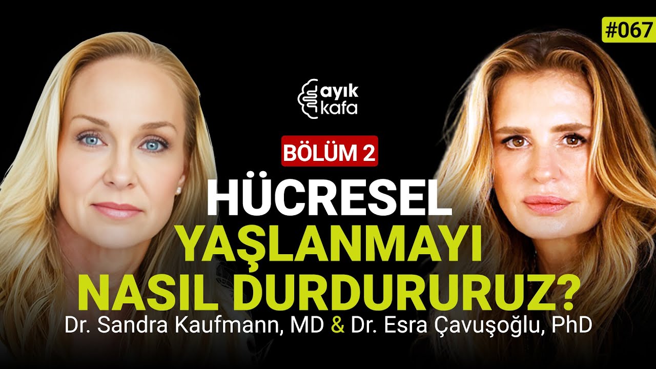 TAKVİYELER, İLAÇLAR VE LONGEVITY STRATEJİLERİ | 067 BÖLÜM 2 DR. SANDRA KAUFMANN, MD
