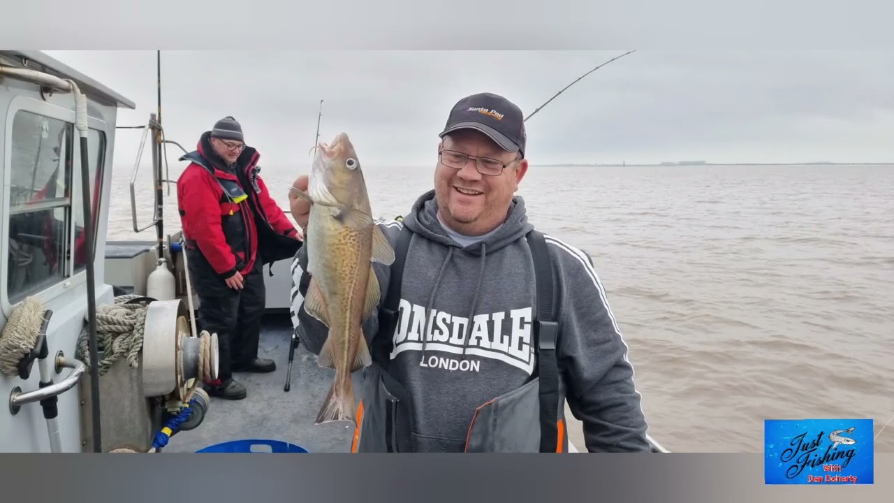 Cod fishing in the Humber some nice fish