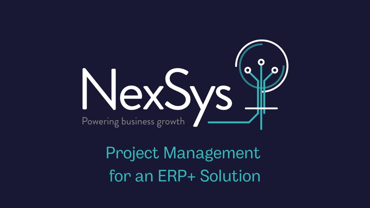 Project Management for an ERP+ Solution