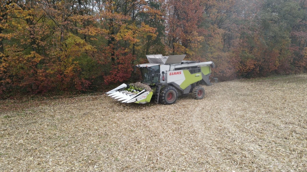 MOISSON DE MA&Iuml;S 2024 // CLAAS TRION 660 // FARMER IRL