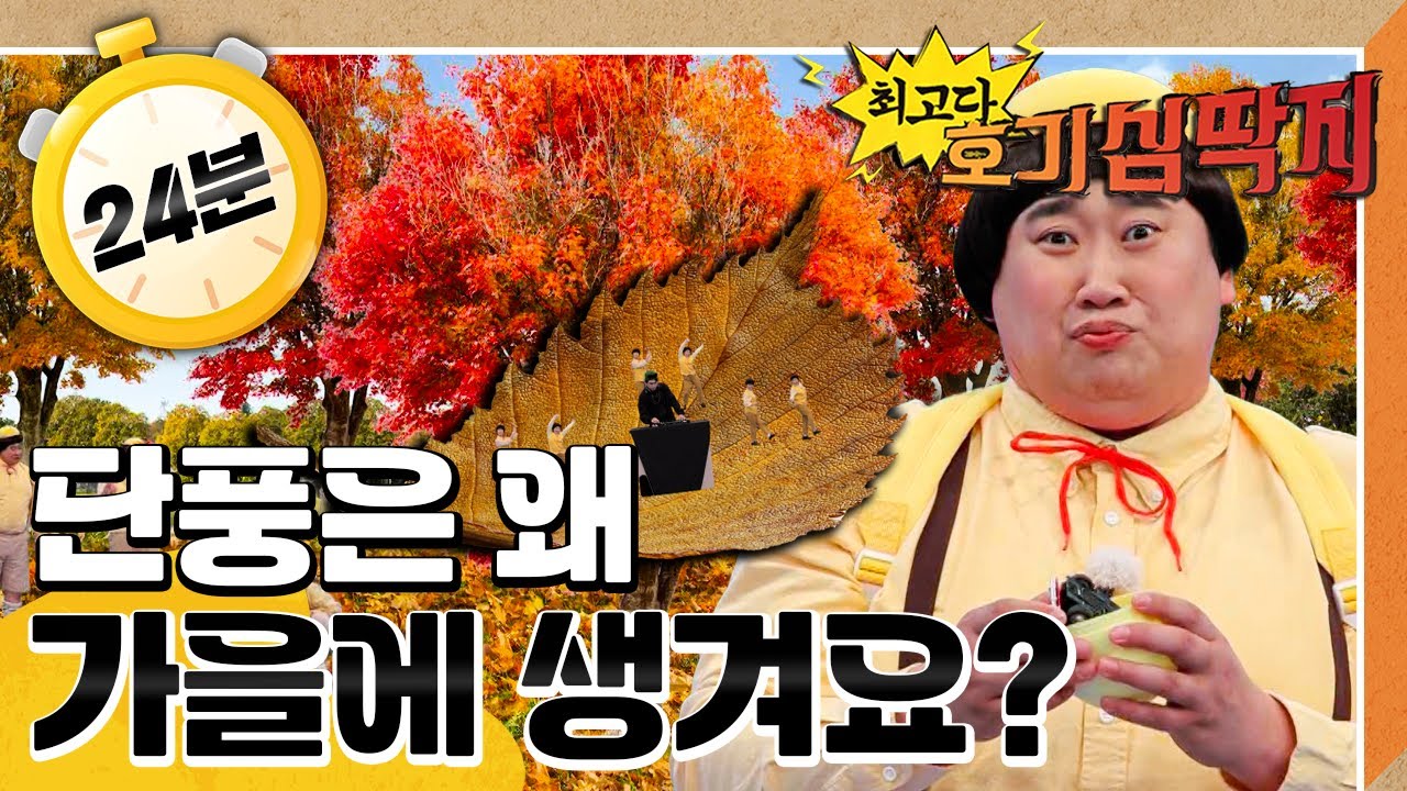 🍁단풍은 왜 가을에 생겨요?｜가을｜💡최고다! 호기심 딱지💡｜[EBS놀이터]