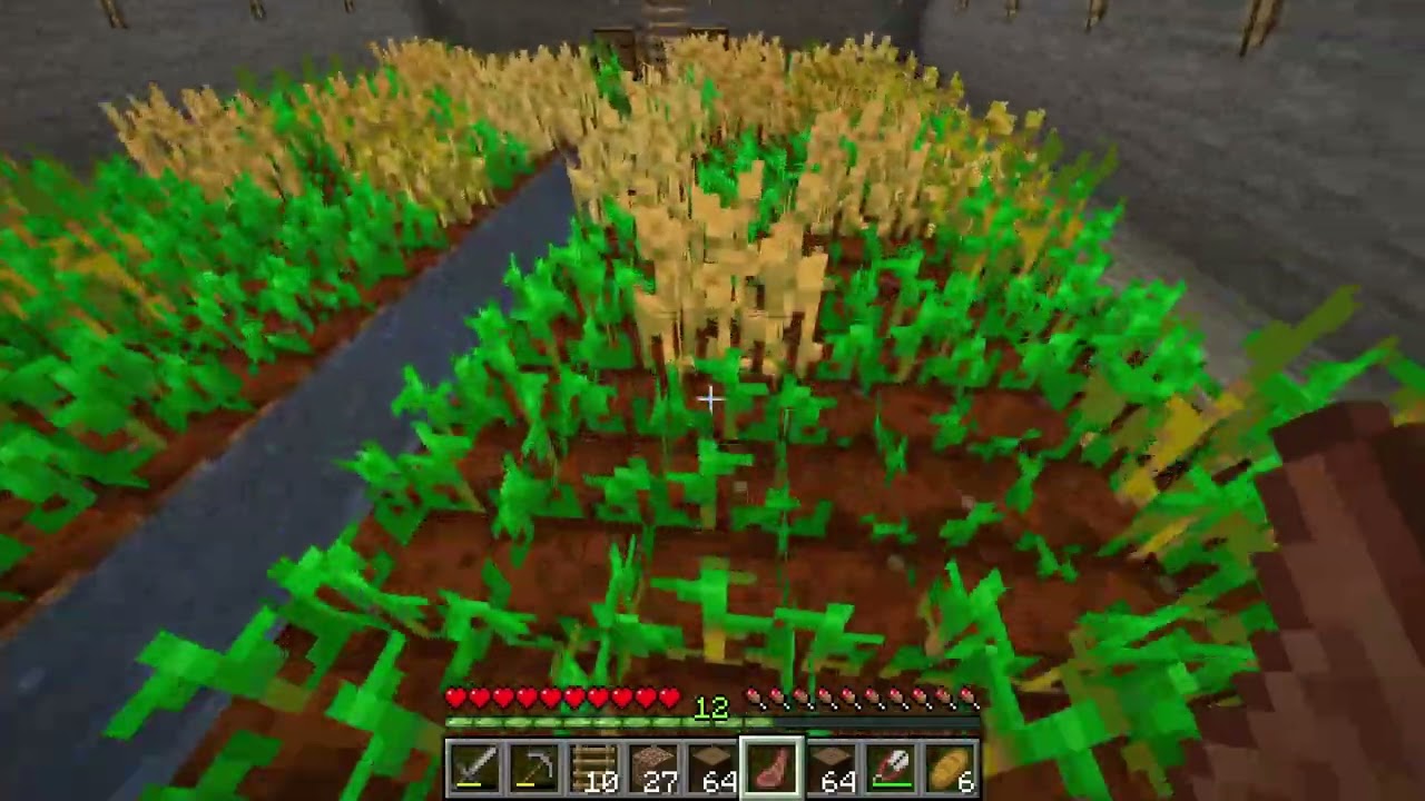 MINECRAFT [GER] #010 - Wieso sind meiner Eier blau?