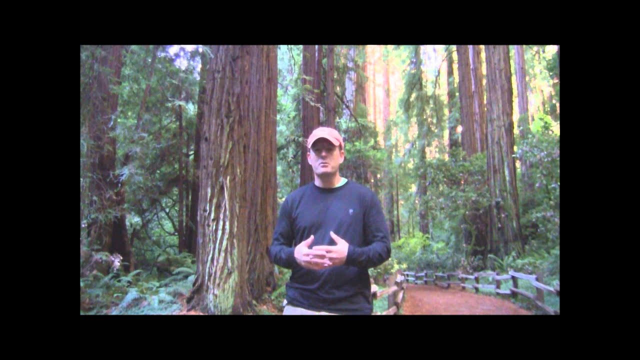 Dr. Mike's #1 Tip For Reducing Inflammation & Increasing Longevity