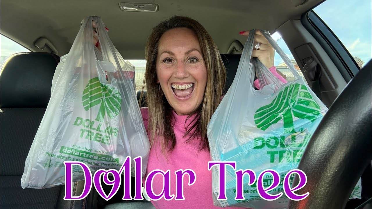 ✨JACKPOT✨ DOLLAR TREE HAUL | Exciting NEW Finds! 