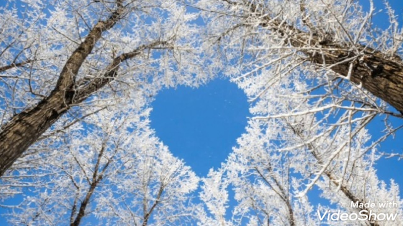 Relations Sacr&eacute;es : l'hiver des coeurs.