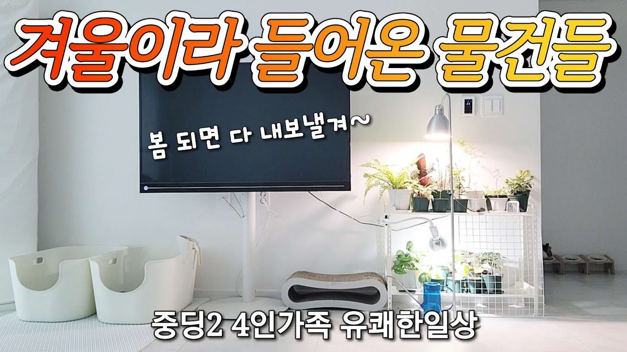 겨울엔 집이 어수선~ 미니멀라이프 포기 / 집이 얼마나 건조한거야 / 야근만 하면 저녁이 엉망진창