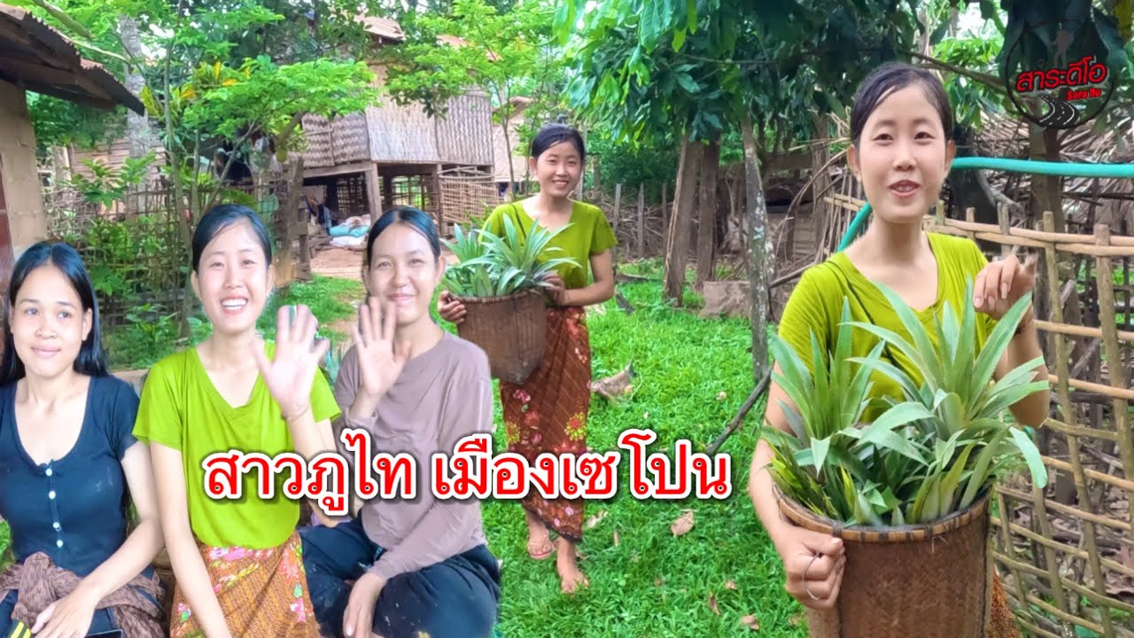 เที่ยวลาวใต้ 3 สาวลาว ชนเผ่าภูไท ไม่เคยมีแฟน!!