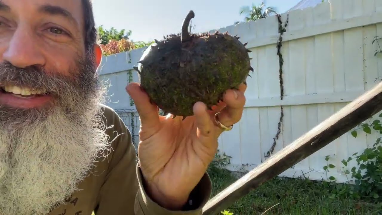 The Best Tasting Fruit In My Yard That I Grow