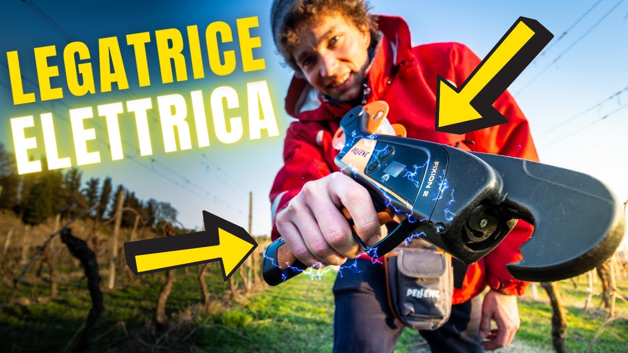 LEGATURA VIGNETO CON LEGATRICE ELETTRICA PELLENC | Filips Country