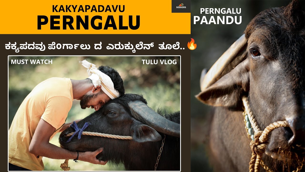 KAKYAPADAVU PERNGAL DA YERUKKULEN THULE | PERNGAL PAANDU | KUTTI | BOLLE | KAMBALA | SEEKERS |