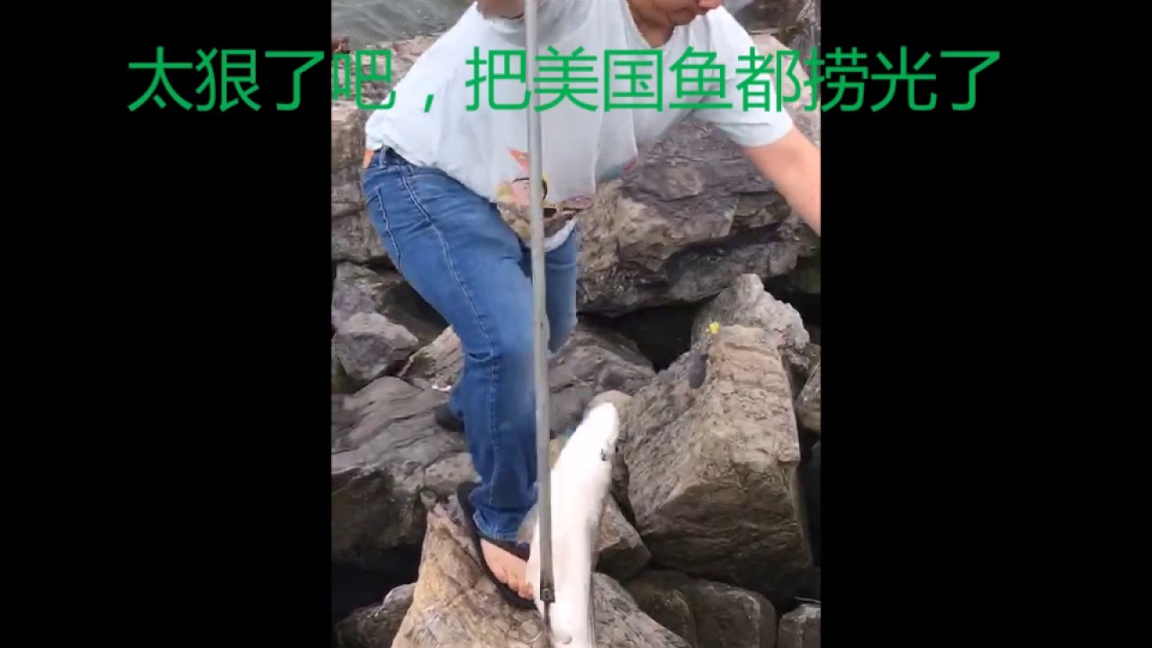 史上最强父子钓鱼，福州人在纽约