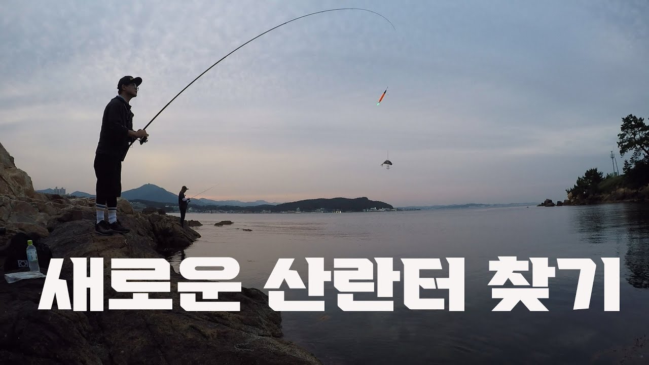 아쉬워서 잠 못잤던 기장 무늬오징어 산란 포인트 개척기 / 무늬오징어 생미끼 찌낚시