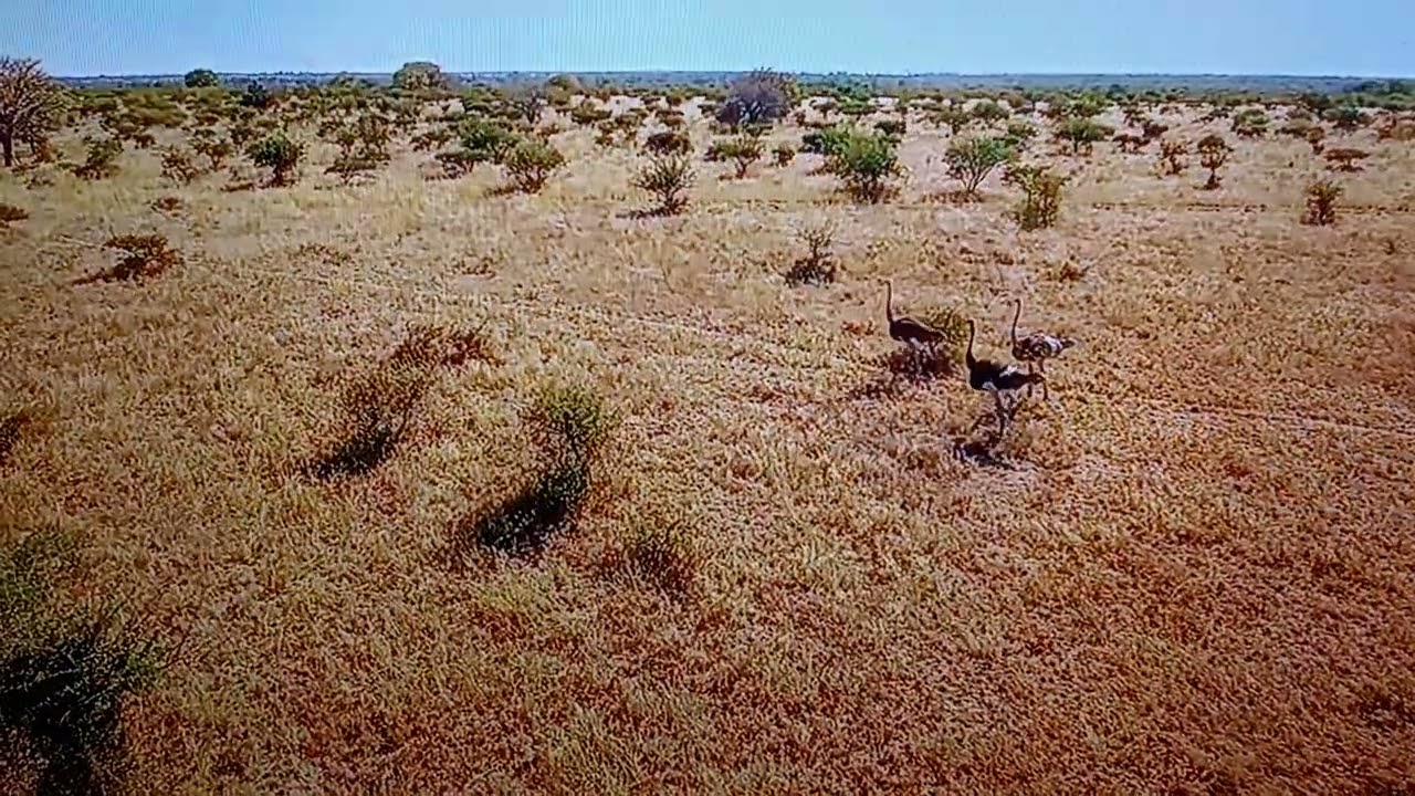J&Uacute;BILO E GOZO AO SENHOR