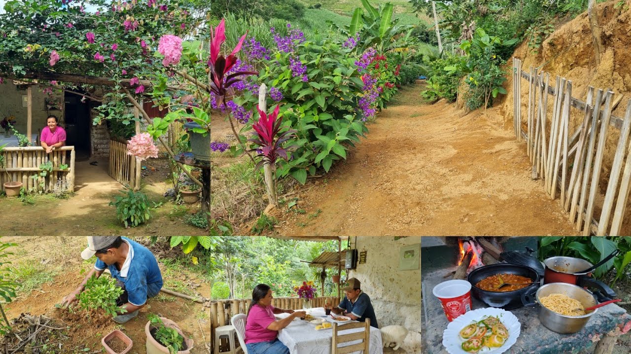 Limpando a entrada do sítio café da manhã e almoço no recanto com um lindo dia de sol Ana Paula Al