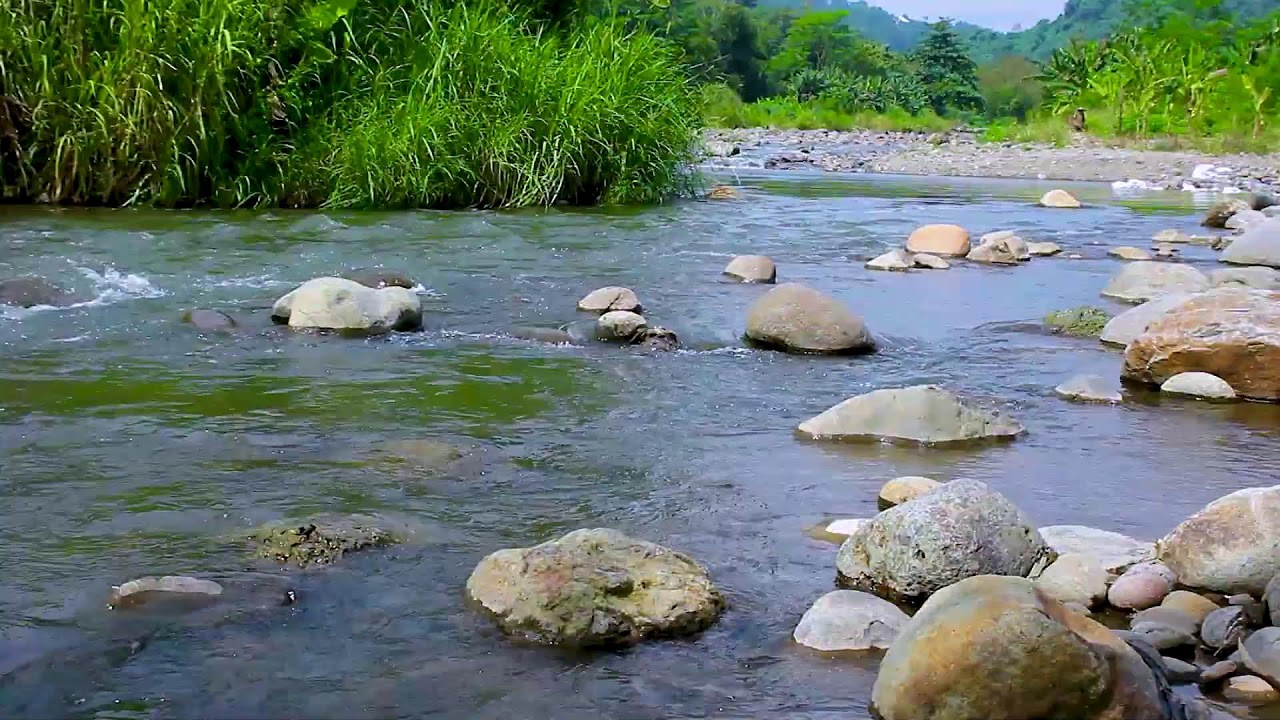 Gentle Flowing Mountain River for Relaxation, Calm Nature White Noise