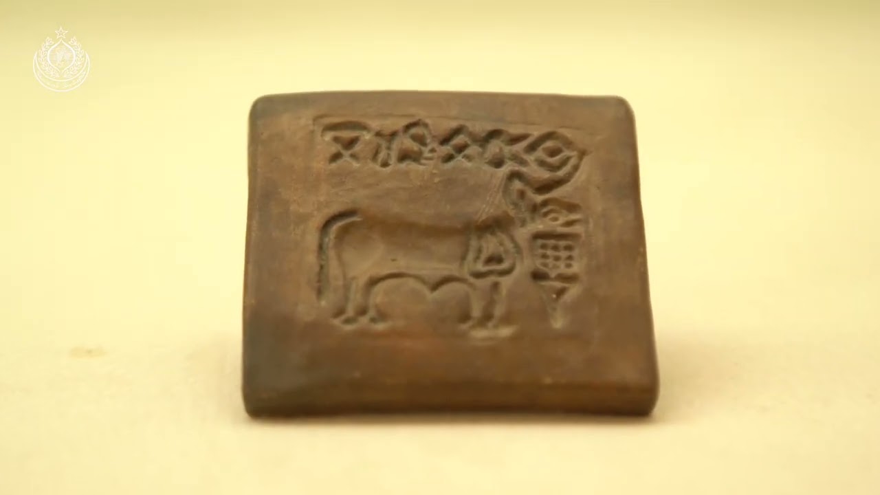 Documentary On Mohenjo Daro - English Version (Directorate of Antiquities & Archaeology)