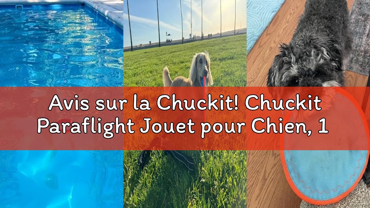 Avis sur la Chuckit! Chuckit Paraflight Jouet pour Chien, 1 Unité, Bleu/Orange, S