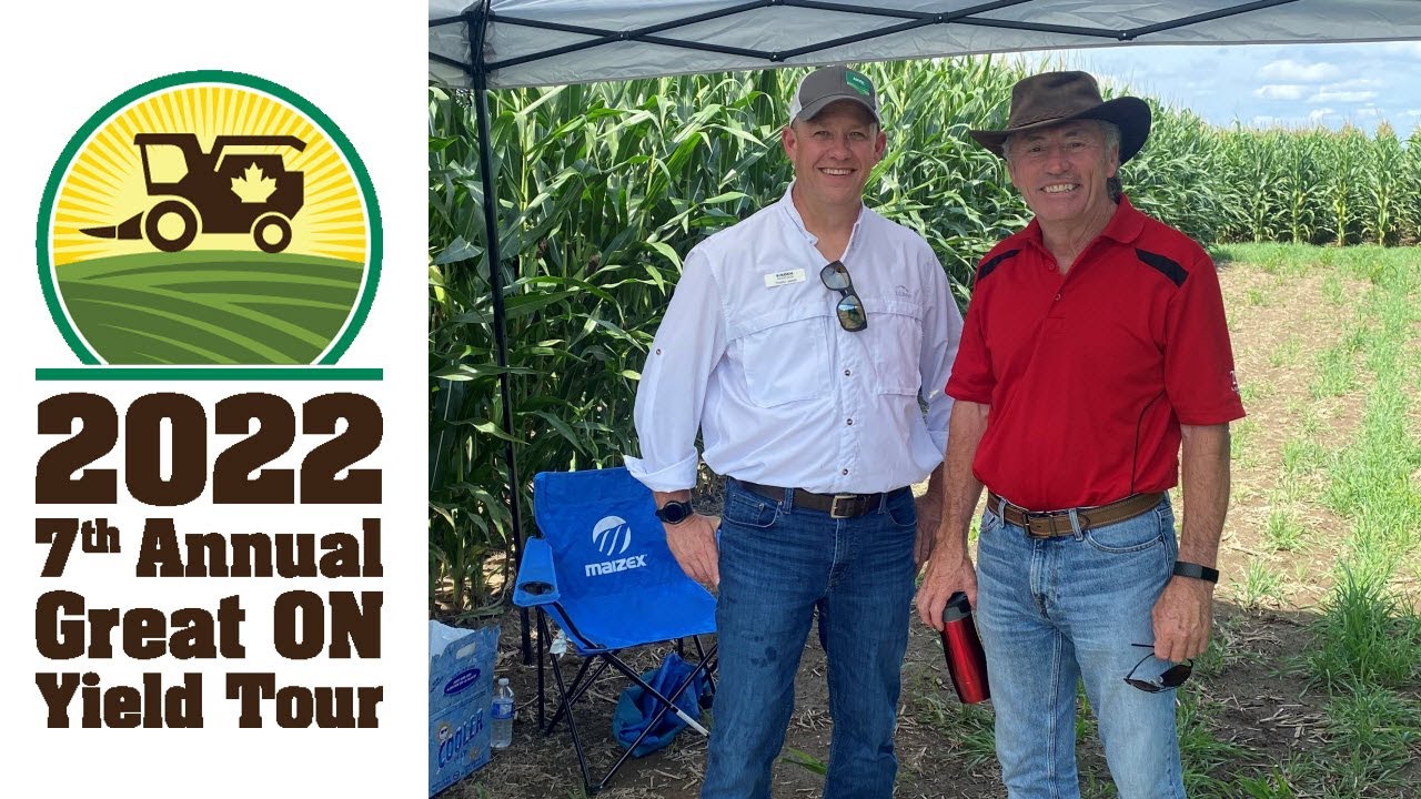 Nitrogen Stabilization: Trench Warfare &mdash; Tips for Beating Fertilizer Loss and Reducing Costs