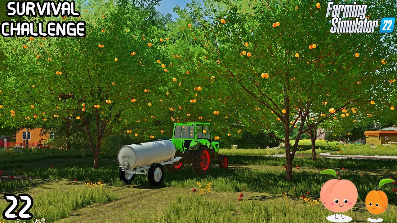 GROWING PEACHES and APRICOTS in the ORCHARD / SURVIVAL CHALLENGE | OSADA | EP 22