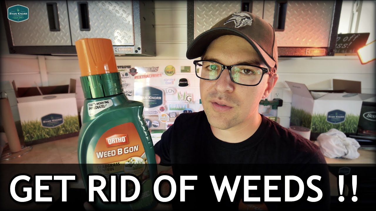 Crabgrass, Clover, Nutsedge?? How To FIX IT!