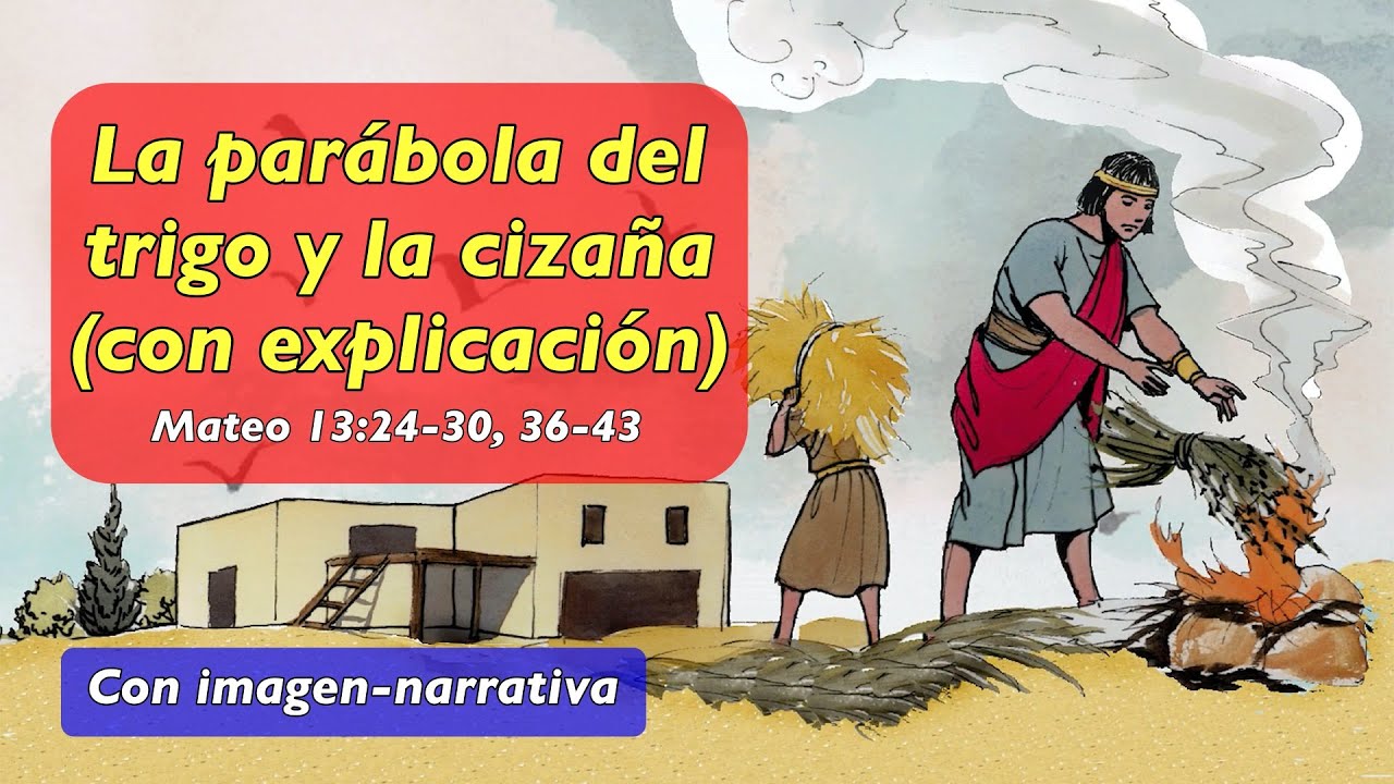 La parábola del trigo y la cizaña - Mateo 13:24-30, 13:36-43
