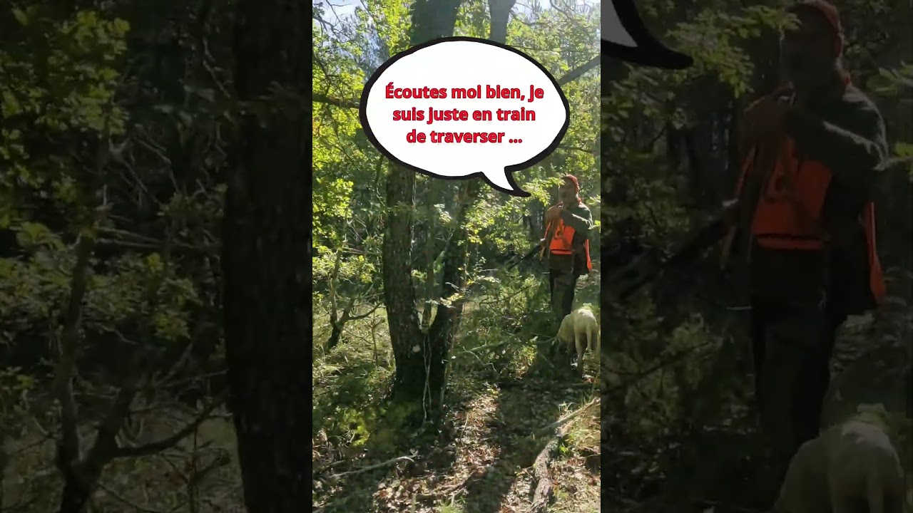 Incident de chasse et menaces sur le Domaine Saint-Antonin - 18/09/2025
