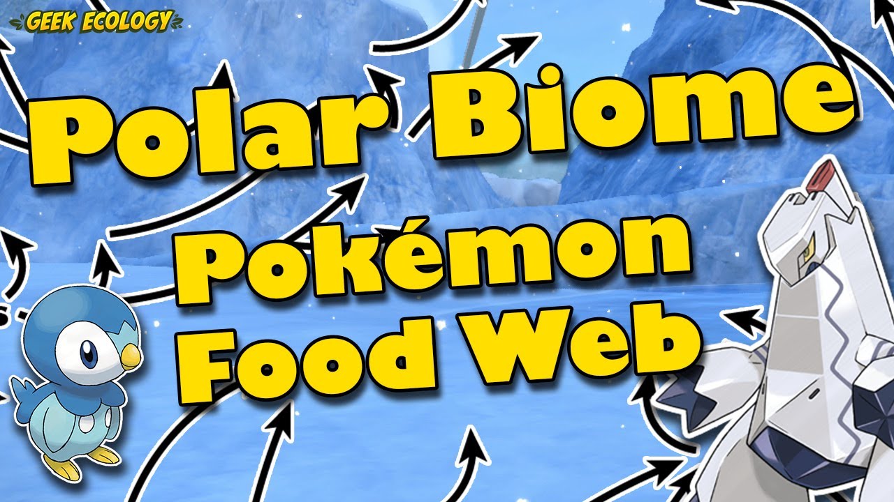 A Blueberry Academy Terarium Pok&eacute;mon food web ❄️🐻&zwj;❄️ Polar Biome