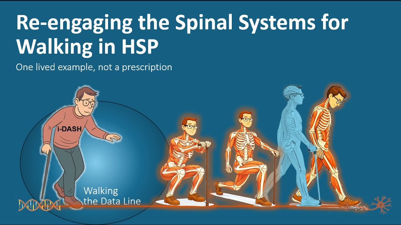 Re-engaging the Spinal Systems for Walking in HSP