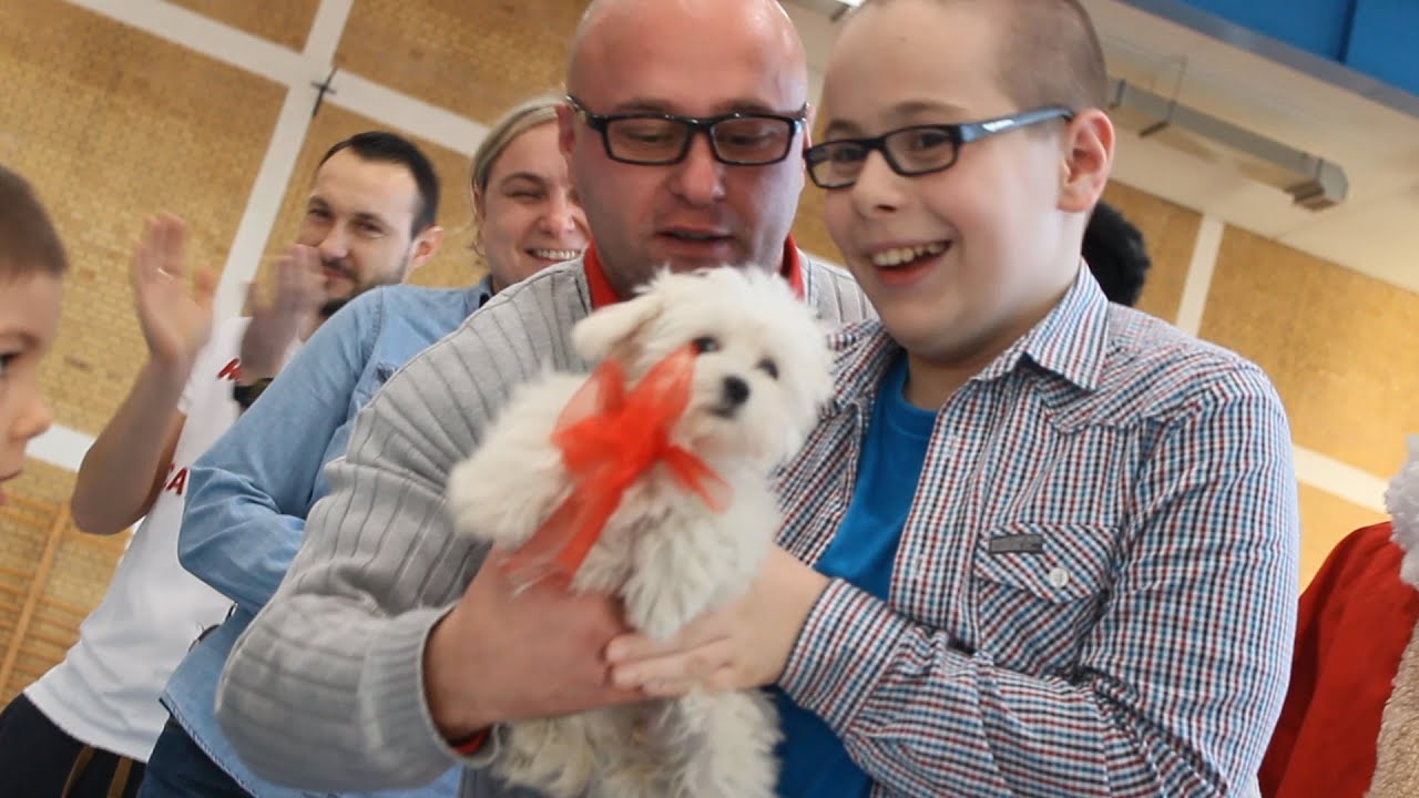 XVI Turniej Mikołajkowy w ZS2 Suwałki - SPEŁNIAMY MARZENIE OSKARA!!!