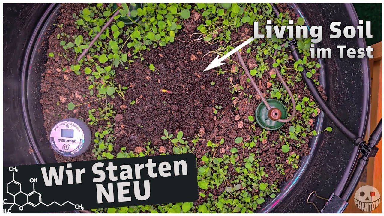 NEUER RUN | Living Soil von @CoupleofPlants im Test!